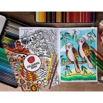 Colouring Book | Waringarri Arts